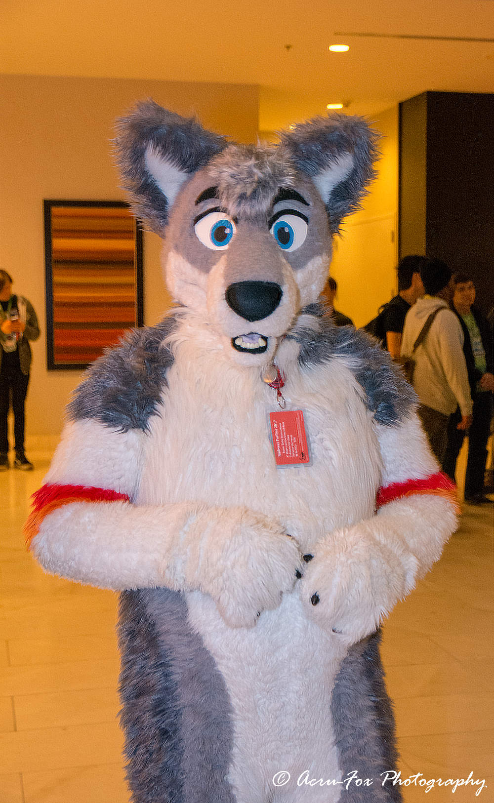 Photo taken by Acrufox. Copyright (C) 2017 Wolferajd & Acrufox. All rights reserved.